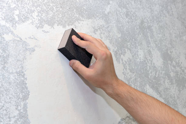 Best Post-Construction Mold Inspection  in North Hobbs, NM