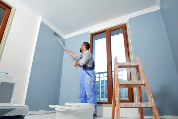 Best Biohazard Mold Removal  in North Hobbs, NM