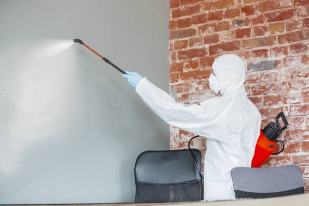 Best Mold Damage Restoration  in North Hobbs, NM