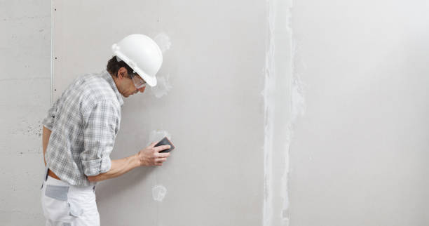 Best Mold Removal for HVAC Installations  in North Hobbs, NM