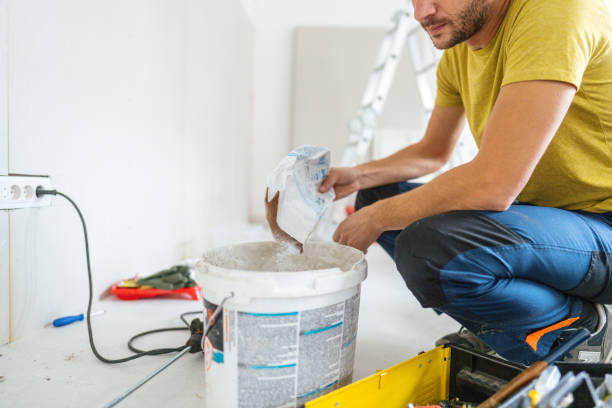 Best Mold Odor Removal Services  in North Hobbs, NM