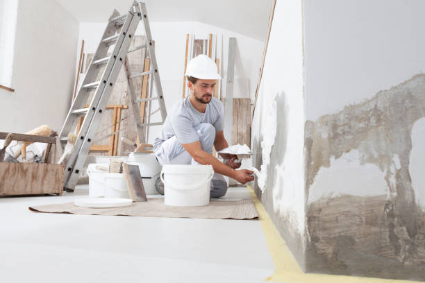 Best Emergency Mold Remediation  in North Hobbs, NM