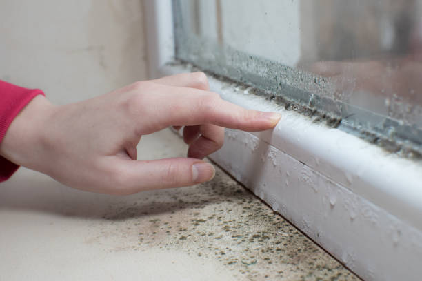 Dehumidification Services in North Hobbs, NM