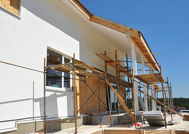 Best Basement Mold Removal  in North Hobbs, NM