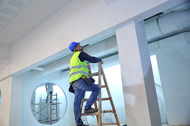 Mold Documentation for Insurance Claims in North Hobbs, NM